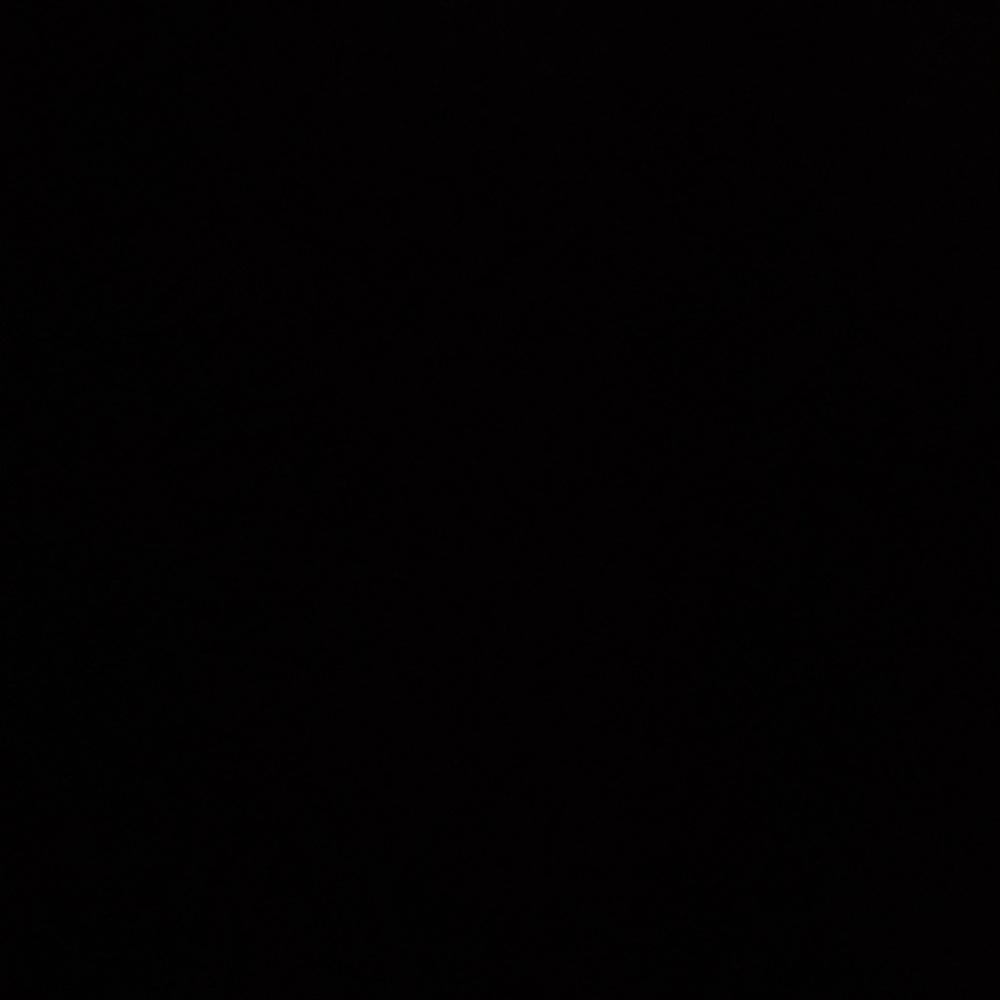 everything must go !!!